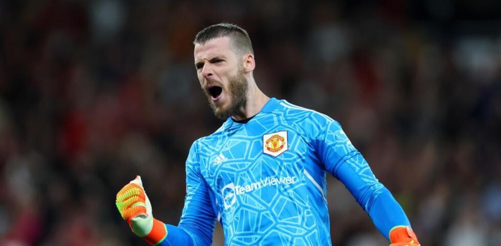 Goalkeeper David De Gea